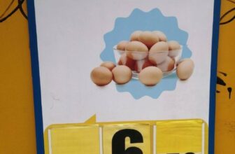 Huevos a granel x Kg – MASS