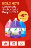 ¡SÓLO HOY! Limpia-todo Antibacterial Daryza 3.8LT