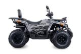 CUATRIMOTO T-REX 250/NEGRO GRIS JETTOR